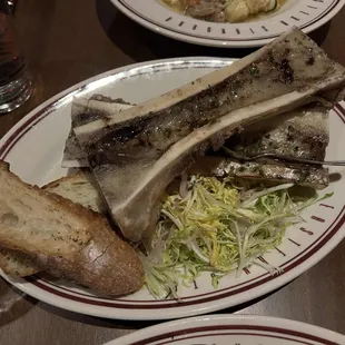 Bone marrow