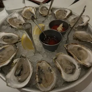 Oysters