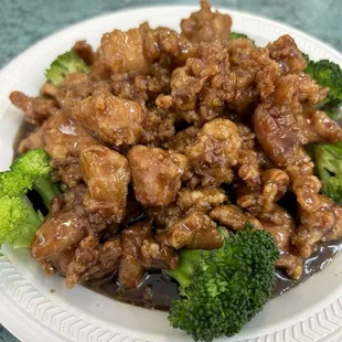 H16. Bourbon Chicken Chef&apos;s Special