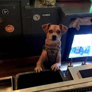 Best bartenders!