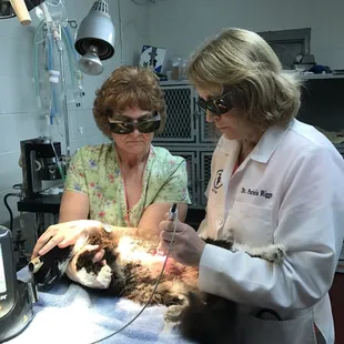 Dr Riggs administering K-Laser Therapy.