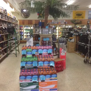 a palm tree in a store