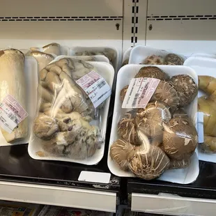 A mushroom lovers paradise.