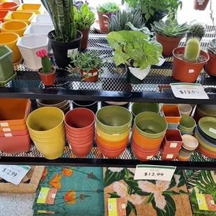 Biodegradable pots and planters! They last 5years before biodegrading