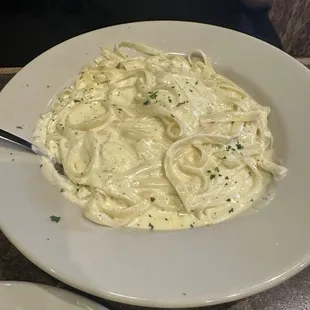 Fettuccini Alfredo Sauce Pasta Specialty