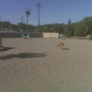 It best place. To go have game or. Have klaq prade. Or car show