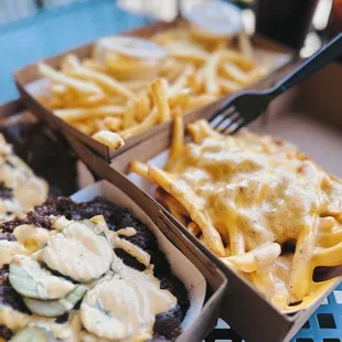 Wild Fries (sauce, cheese, grilled onions) - 9.4/10