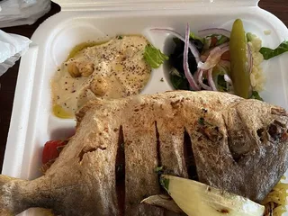 falafel oasis