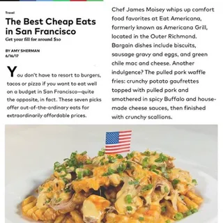 Pulled Pork Waffle Fries