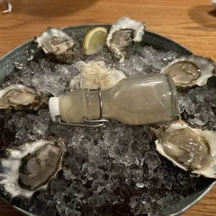 $1 oysters!