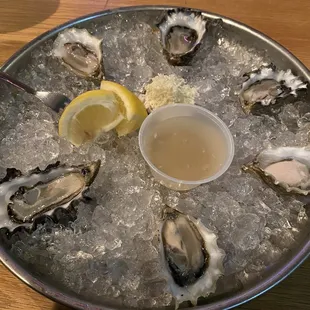 Deliciously fresh oysters