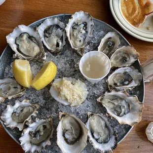 Four types of oysters