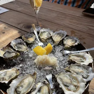 Oysters