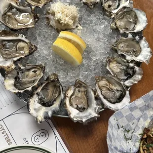 shellfish, oysters and mussels, oysters, mussels, food