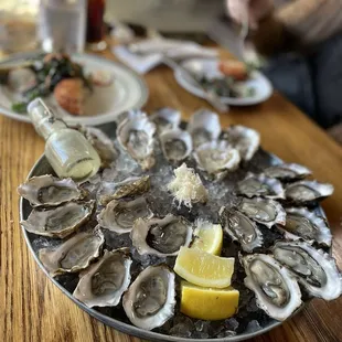 Oysters on the Half Shell