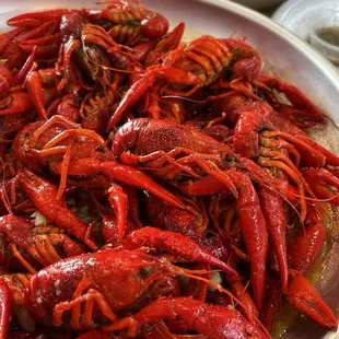 Live Crawfish in SJ Lovers Sauce