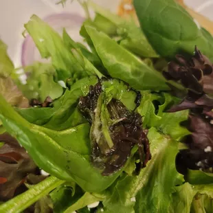 Yeah that's fuzzy mold