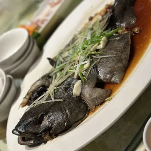 food, mussels, shellfish, oysters and mussels, oysters