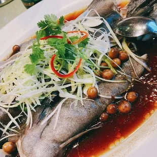Steamed Black Cod