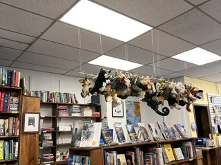 Excelsior Bay Books