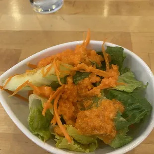 House salad w/ special recipe ginger dressing , PHENOMINAL!