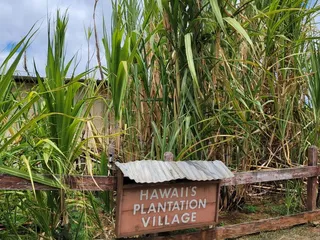 Hawaii's Plantation Village