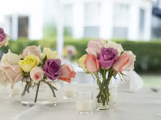 Jeannettes Delicacies