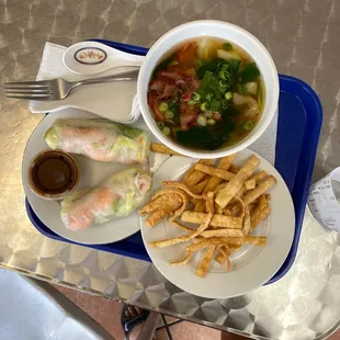 fresh spring rolls and small wonton soup