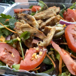Garden Salad w/ Chicken