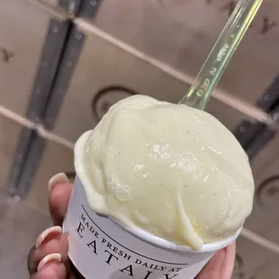 Delicious Gelato