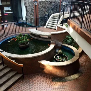 Koi pond with large koi.