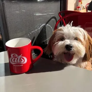Enjoy Lunch with your Best Friend!