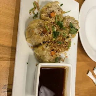 Pork Dumplings