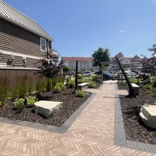 Courtyard lookin modern &amp; cute! Love the driftwood.