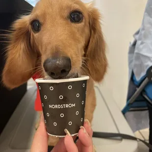 a person holding a cup of coffee in their hand