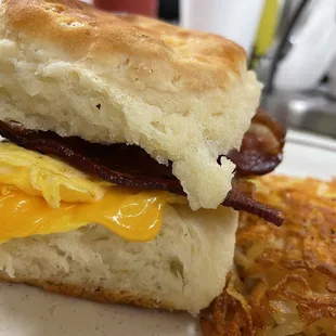 Bacon  egg  cheese  biscuit