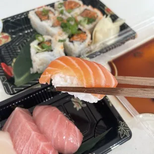 omakase nigiri and spicy salmon roll