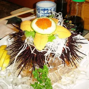 Live Uni ($17.50)