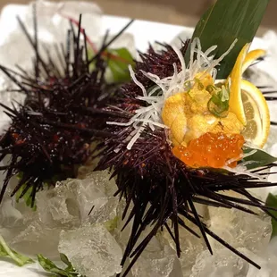 Live Uni