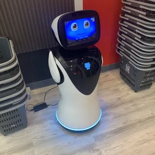 Robot greeter