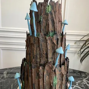 Black Forest cake, with red velvet making up the top layer