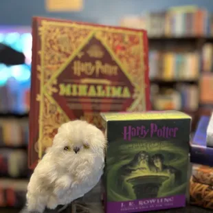a harry potter owl and books