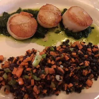 Diver Scallops