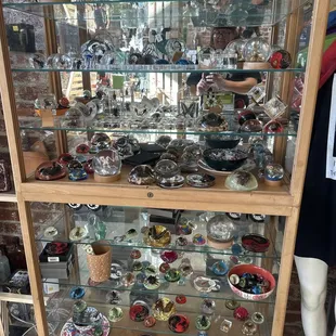 Resin insects