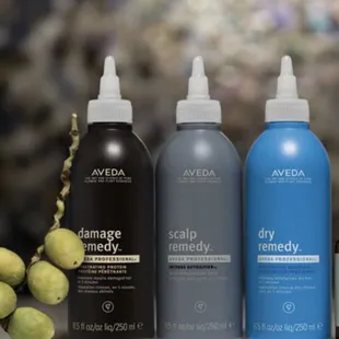 Hair feeling dry or damaged? Call today to schedule a botanical hair treatment.