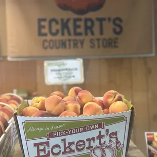 Pick your own or purchase from their store.