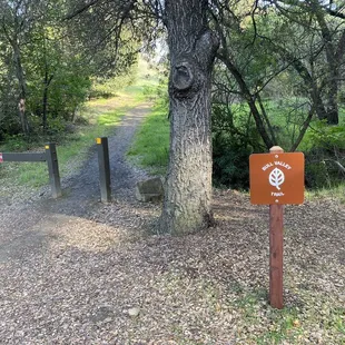 Start of the Bull Valley Trail