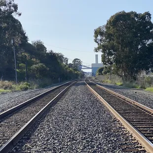Crossing the tracks to Eckley Pier
