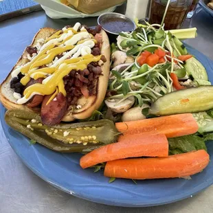 Sonoran dog