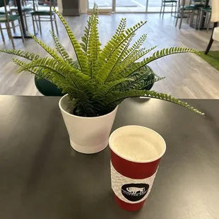 My sugar-free chai tea made with care by Dalia.